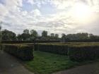 This is a outdoor maze at a park in Almere