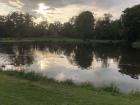 One of my favorite spots in Vondelpark, where I feel close to my community