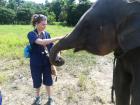 Manon saw this elephant in Thailand
