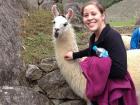 I traveled to Peru for my undergraduate research on llama parasites.