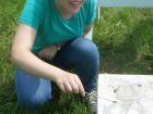 My first summer of grad school I learned how to train honey bees to a feeder.