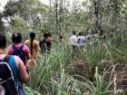 Hiking in a tropical forest during a previous trip to Trivandrum (a city near the eastern coast of India)