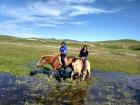 For hundreds of years, everyone in Mongolia rode horses everywhere
