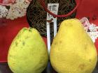 A pomelo can come in many sizes, but if you cut it right the peel is usually big enough to fit on someone's head