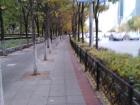 Green space is incorporated in most streets in Shenyang 