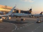 Lufthansa planes outside of Frankfurt Airport