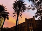 Sunset over Valencian palm trees