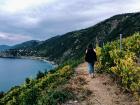 Exploring vineyards in Italy