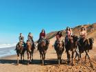 Riding camels in Morocco