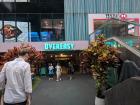 The American-style diner was tucked away below street level