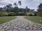 Singapore's Botanic Gardens hosts plenty of Singapore's flora