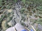 Take a look at the deep, muddy imprints from all the elephants walking through the park