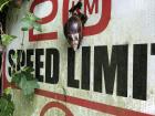 One of the huge snails we saw making its way up a speed limit sign in the village of Sauraha