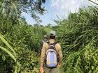 On our jungle walk, our guides led us through extremely tall and thick grasses