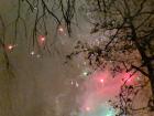 Fireworks in a park in Essen for New Year's Day