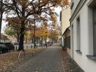 Fall foliage in Potsdam