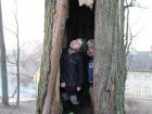 Urmas and Andres inside a tree in Tartu