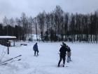 Valga County, where we went snowshoeing, is full of pines and spruces