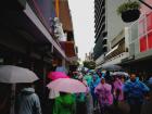 This is what the streets look like in the rainy season in downtown San José. Everyone has their umbrella!