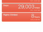 This shows exactly how far I walked in just one day in Amsterdam 