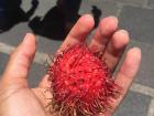 First time trying a Lychee fruit