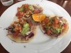 Fish tacos with fresh tomatoes, avocado and purple cabbage