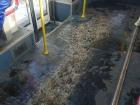 When it rains or snows, the buses become very slippery and dangerous