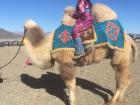 Here I am clutching the camel's hump for support. This camel was decorated in a beautiful blue cloak. 
