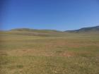 A quintessential picture of the steppe. 