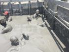 The mud is hot and thick and everyone floats in it!
