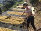 I got to help out at a coffee farm!
