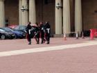 Guards patrolling in front of the palace