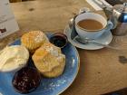 A cream tea from Tea on the Green