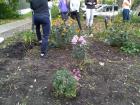My dorm came together as a community to help prepare the gardens for winter