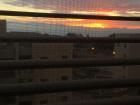 Sunrise from my dorm room