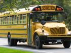 Yellow school buses are an example of something we may not realize is unique to the U.S.A.!