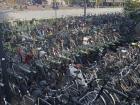 This is a place where hundreds of bikes are parked