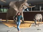 An elephant at the Science Park in Granada 