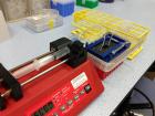 Here is an experiment set up. I love how colorful the lab equipment is!