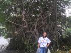 Standing with one of the beautiful mangrove trees on the other side of the park