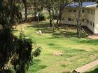 Check out the llamas that are kept by a rescue park in Cuenca. These animals are being cared for until they can go back into their wildlife in the mountains