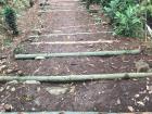 Bamboo trees are used to make steps and paths here; they are super strong!