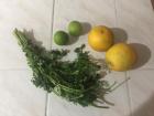 Oranges, limes and cilantro from the kitchen used for the Ceviche mix. Ecuadorian limes are a lot smaller than ours.