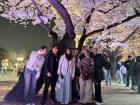 My friends and I at Yeouido enjoying the cherry blossoms