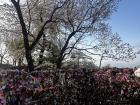 Love locks are a popular tradition among visitors