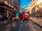 Trams run on the streets of Prague, even sharing the road with cars
