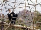 A rescued Andean condor at the Mallasa animal sanctuary 