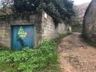 Paved roads cover most of Vigo but it is also common to come across paths like this with vegetation 