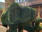 An elephant bush outside of the temple. Elephants are worshiped animals.