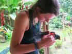 Bird ringing in Costa Rica